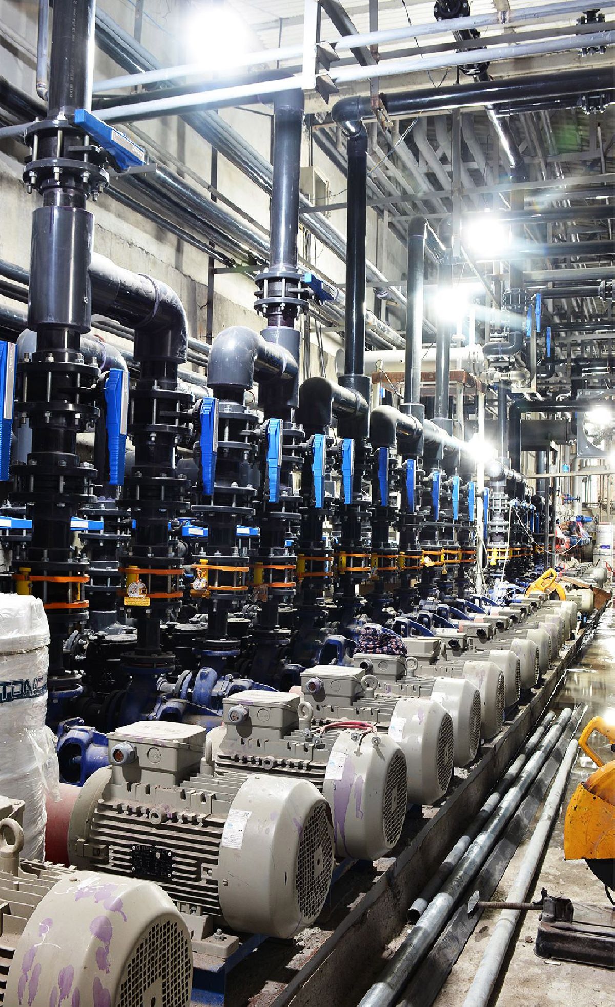 Facilities Section of the Twin Pool in Babolsar Facilities Section of the Twin Pool in Babolsar